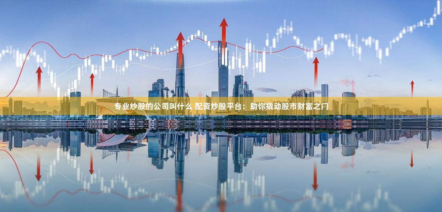 专业炒股的公司叫什么 配资炒股平台：助你撬动股市财富之门